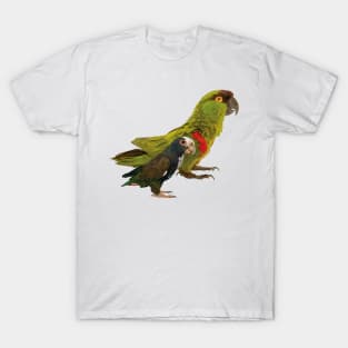 Mountain Parakeet and Parrot T-Shirt